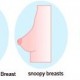 Tuberous breasts, 3 different breast shapes, Form & Face